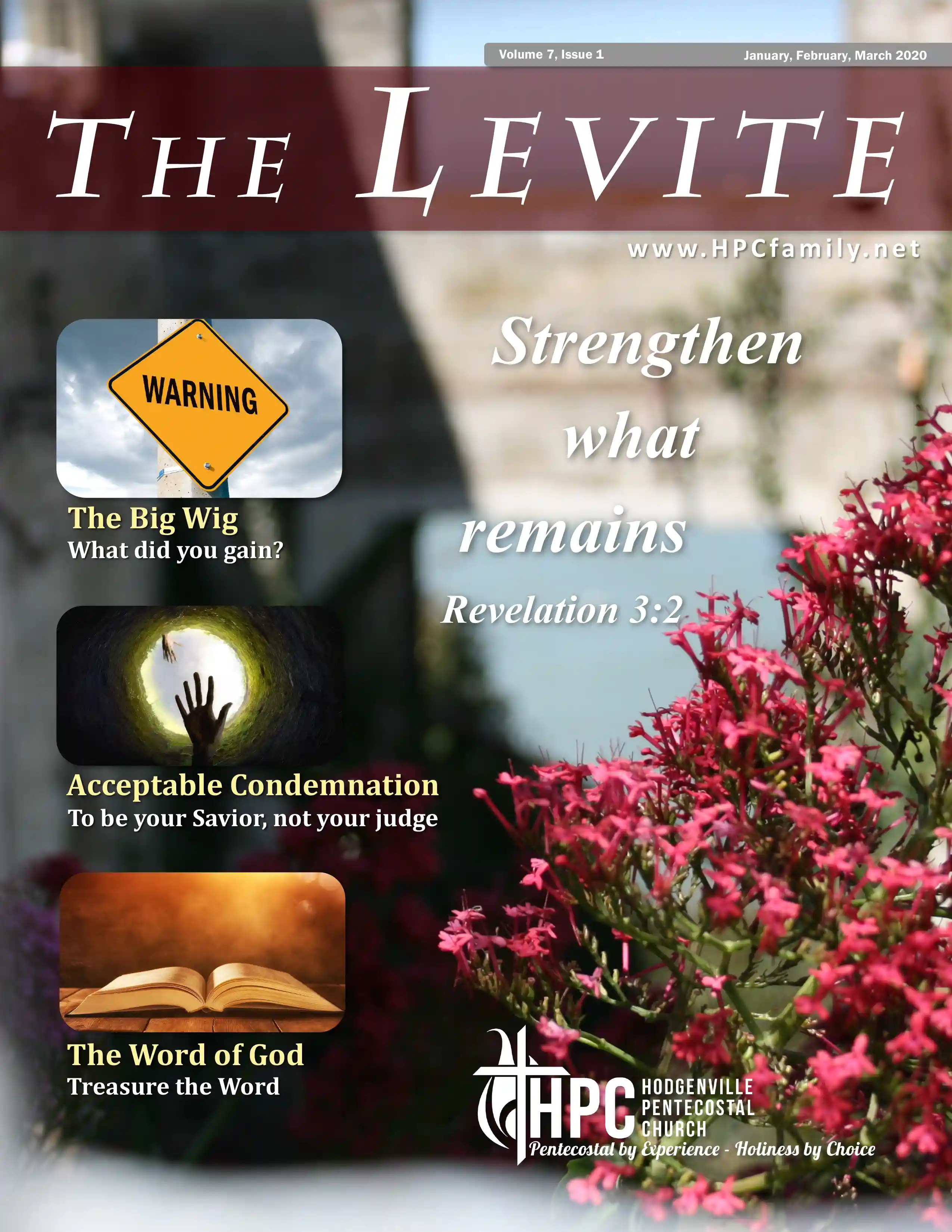 an image of a Levite publication cover page